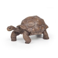 Papo: Galapagosi teknős