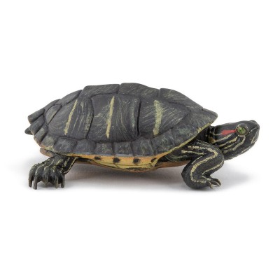 PAPO Vörösfülű ékszerteknős