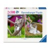Puzzle 2x500 db - Kiscicák vidéken