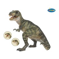 Papo tyrannosaurus rex dínó 55001