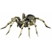Papo: Tarantula