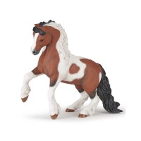 Papo: Irish cob ló