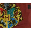 Fiú fürdőboxer Harry Potter-es mintával